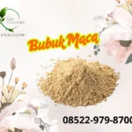 jual-maca-bubuk-harga-grosir-di-jogja